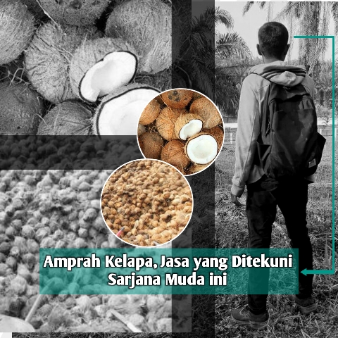 Amprah Kelapa, Jasa Yang Ditekuni Sarjana Muda Ini