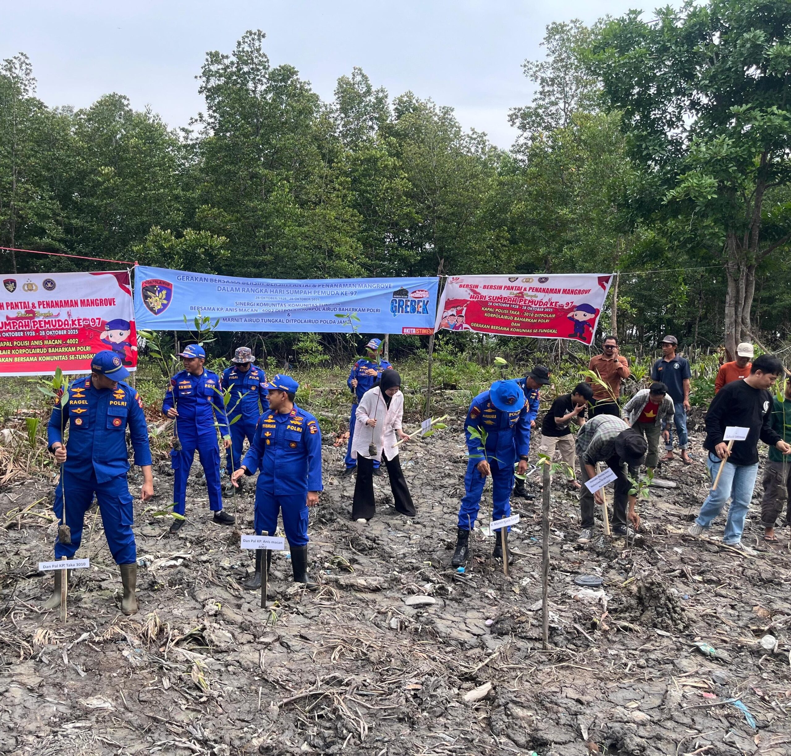 Semangat Sumpah Pemuda ke-97, ‘GREBEK’ Se-Tungkalan Gelar Aksi Tanam Mangrove, Berbagi Nasi, Hingga Pentas Kreatif di WFC